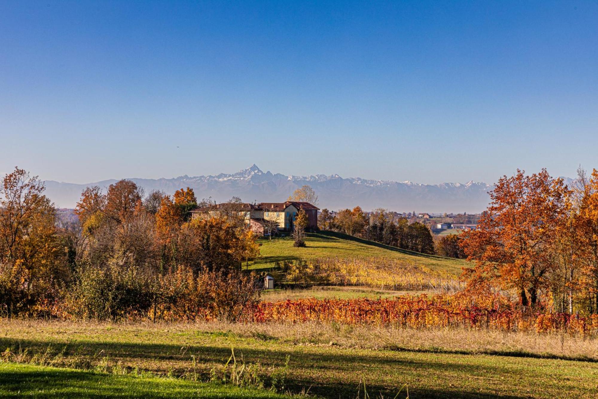 Вилла Cascina Rueral Montafia Экстерьер фото